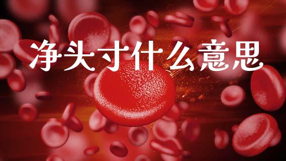 净头寸什么意思_https://cj007.lansai.wang_债券资讯_第1张