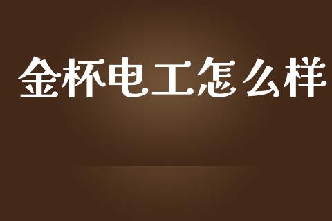 金杯电工怎么样_https://cj007.lansai.wang_债券资讯_第1张