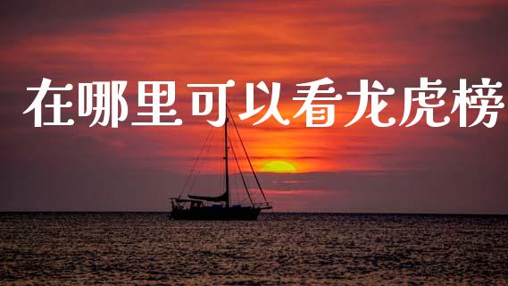在哪里可以看龙虎榜_https://cj007.lansai.wang_债券资讯_第1张
