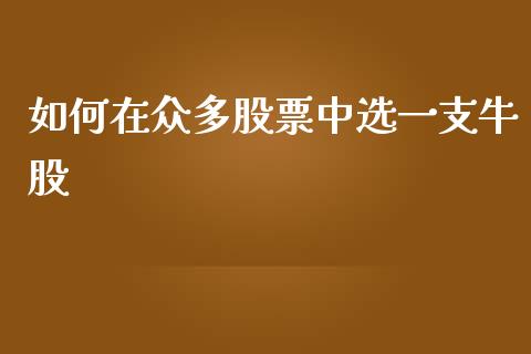 如何在众多股票中选一支牛股_https://cj007.lansai.wang_外汇交易_第1张