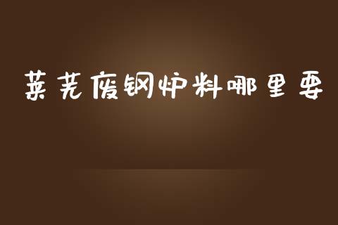 莱芜废钢炉料哪里要_https://cj007.lansai.wang_债券资讯_第1张