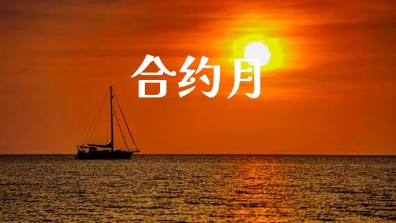 合约月_https://cj007.lansai.wang_期货开户_第1张