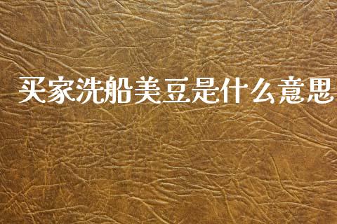 买家洗船美豆是什么意思_https://cj007.lansai.wang_金融监管_第1张