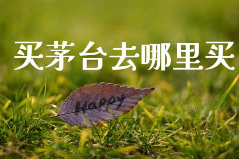 买茅台去哪里买_https://cj007.lansai.wang_金融监管_第1张
