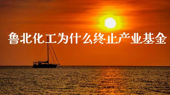 鲁北化工为什么终止产业基金_https://cj007.lansai.wang_外汇交易_第1张