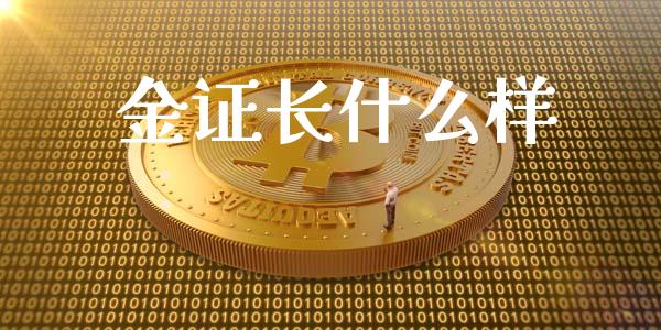 金证长什么样_https://cj007.lansai.wang_外汇交易_第1张