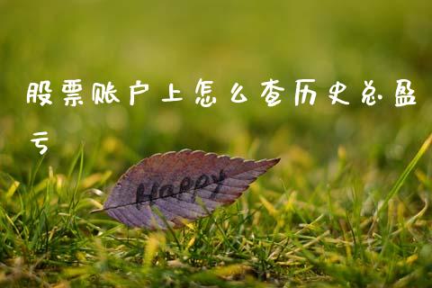 股票账户上怎么查历史总盈亏_https://cj007.lansai.wang_财经新闻_第1张