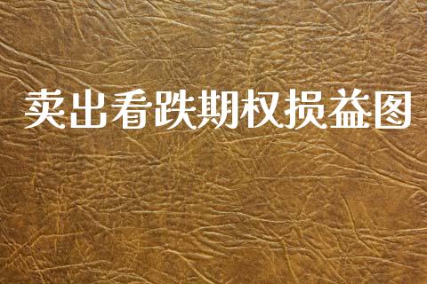 卖出看跌期权损益图_https://cj007.lansai.wang_期货开户_第1张