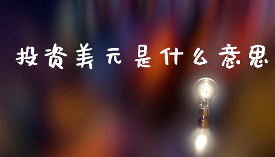 投资美元是什么意思_https://cj007.lansai.wang_期货开户_第1张