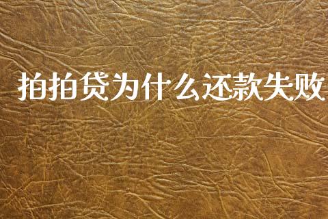 拍拍贷为什么还款失败_https://cj007.lansai.wang_外汇交易_第1张