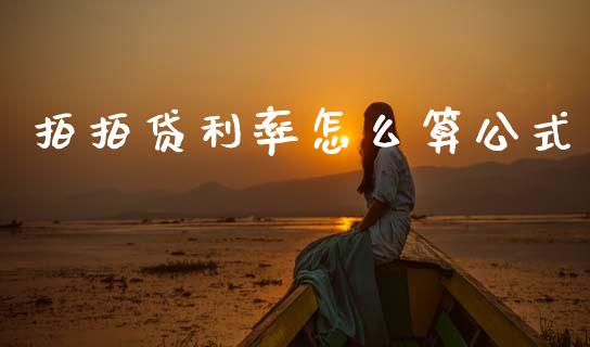 拍拍贷利率怎么算公式_https://cj007.lansai.wang_债券资讯_第1张