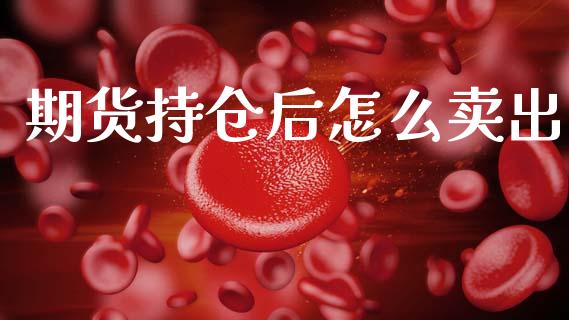 期货持仓后怎么卖出_https://cj007.lansai.wang_金融监管_第1张
