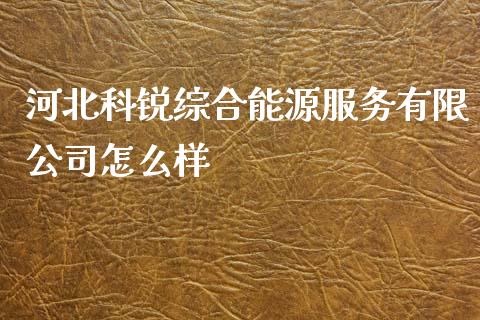 河北科锐综合能源服务有限公司怎么样_https://cj007.lansai.wang_债券资讯_第1张