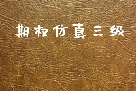 期权仿真三级_https://cj007.lansai.wang_金融监管_第1张