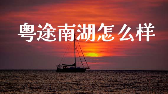 粤途南湖怎么样_https://cj007.lansai.wang_债券资讯_第1张