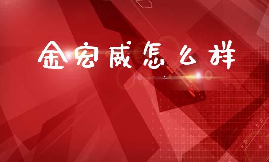 金宏威怎么样_https://cj007.lansai.wang_债券资讯_第1张