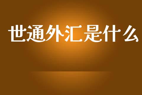 世通外汇是什么_https://cj007.lansai.wang_外汇交易_第1张