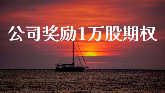 公司奖励1万股期权_https://cj007.lansai.wang_财经新闻_第1张