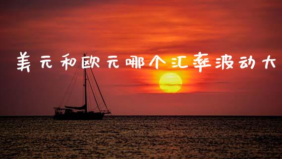 美元和欧元哪个汇率波动大_https://cj007.lansai.wang_金融监管_第1张