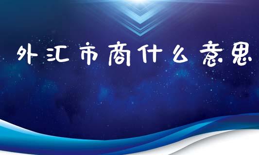 外汇市商什么意思_https://cj007.lansai.wang_外汇交易_第1张