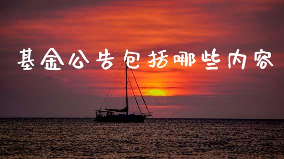 基金公告包括哪些内容_https://cj007.lansai.wang_外汇交易_第1张