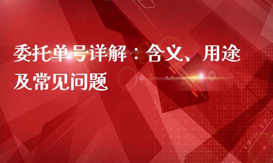 委托单号详解：含义、用途及常见问题_https://cj007.lansai.wang_金融监管_第1张