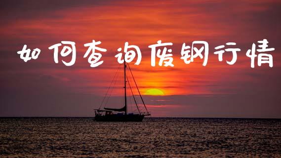 如何查询废钢行情_https://cj007.lansai.wang_全球市场_第1张