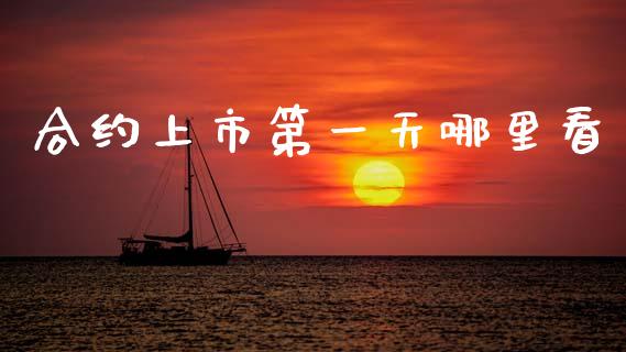 合约上市第一天哪里看_https://cj007.lansai.wang_财经新闻_第1张