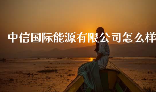 中信国际能源有限公司怎么样_https://cj007.lansai.wang_外汇交易_第1张