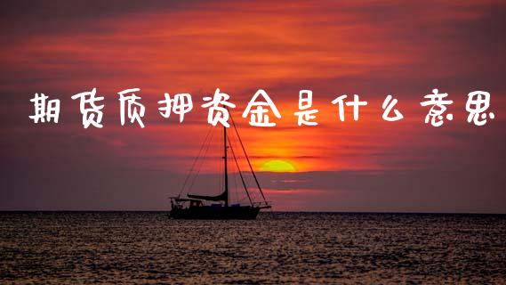 期货质押资金是什么意思_https://cj007.lansai.wang_全球市场_第1张