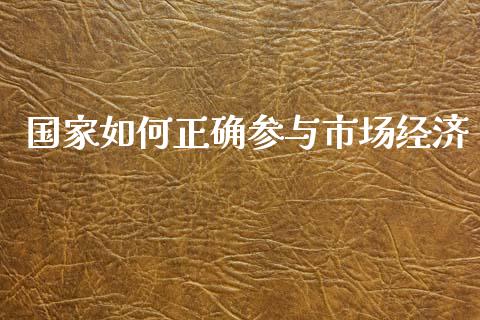 国家如何正确参与市场经济_https://cj007.lansai.wang_金融监管_第1张