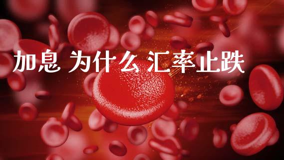 加息 为什么 汇率止跌_https://cj007.lansai.wang_财经新闻_第1张