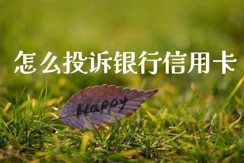 怎么投诉银行信用卡_https://cj007.lansai.wang_外汇交易_第1张