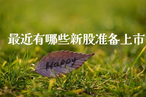 最近有哪些新股准备上市_https://cj007.lansai.wang_财经新闻_第1张
