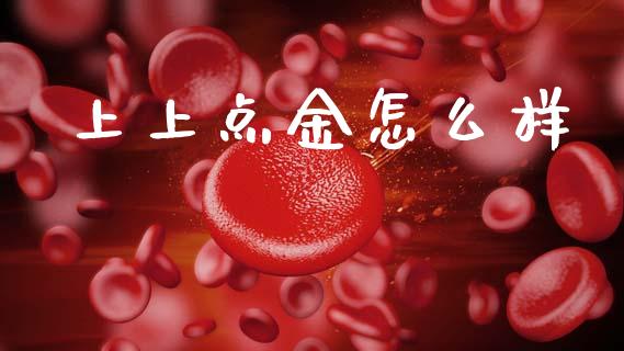 上上点金怎么样_https://cj007.lansai.wang_金融监管_第1张