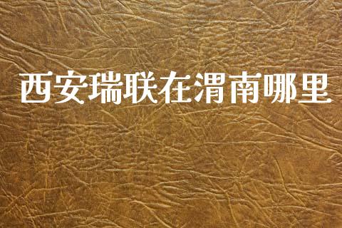 西安瑞联在渭南哪里_https://cj007.lansai.wang_期货开户_第1张