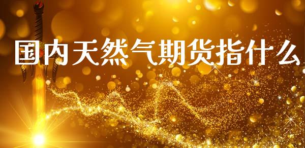 国内天然气期货指什么_https://cj007.lansai.wang_外汇交易_第1张