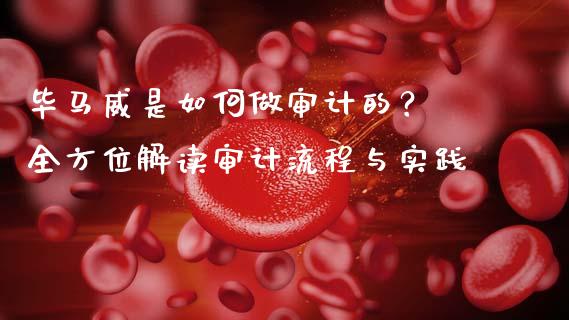 毕马威是如何做审计的？ 全方位解读审计流程与实践_https://cj007.lansai.wang_财经新闻_第1张