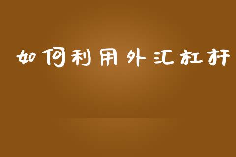 如何利用外汇杠杆_https://cj007.lansai.wang_外汇交易_第1张