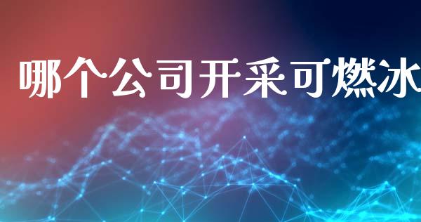 哪个公司开采可燃冰_https://cj007.lansai.wang_债券资讯_第1张