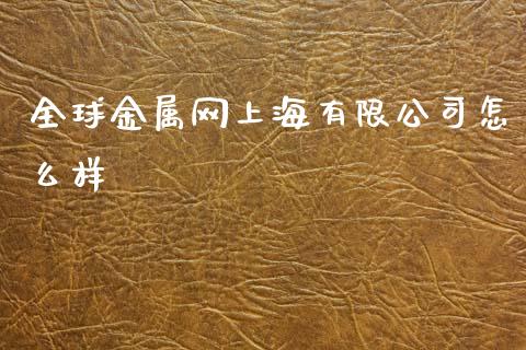 全球金属网上海有限公司怎么样_https://cj007.lansai.wang_外汇交易_第1张