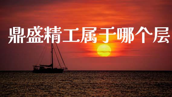 鼎盛精工属于哪个层_https://cj007.lansai.wang_债券资讯_第1张
