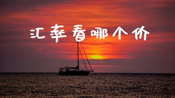 汇率看哪个价_https://cj007.lansai.wang_全球市场_第1张