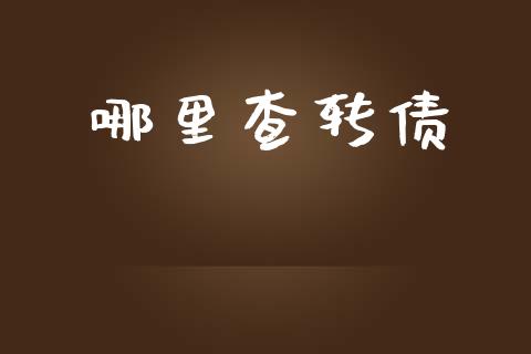 哪里查转债_https://cj007.lansai.wang_金融监管_第1张