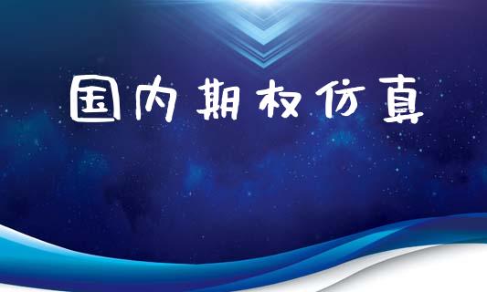国内期权仿真_https://cj007.lansai.wang_金融监管_第1张