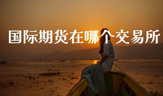国际期货在哪个交易所_https://cj007.lansai.wang_外汇交易_第1张