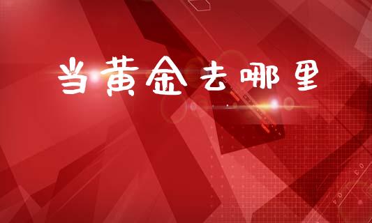 当黄金去哪里_https://cj007.lansai.wang_外汇交易_第1张