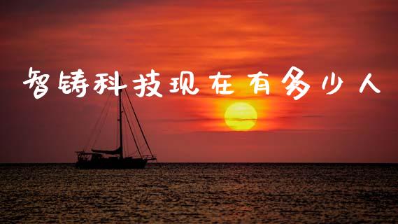 智铸科技现在有多少人_https://cj007.lansai.wang_金融监管_第1张