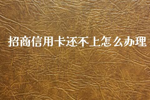 招商信用卡还不上怎么办理_https://cj007.lansai.wang_债券资讯_第1张