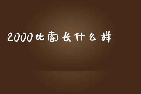 2000比索长什么样_https://cj007.lansai.wang_债券资讯_第1张
